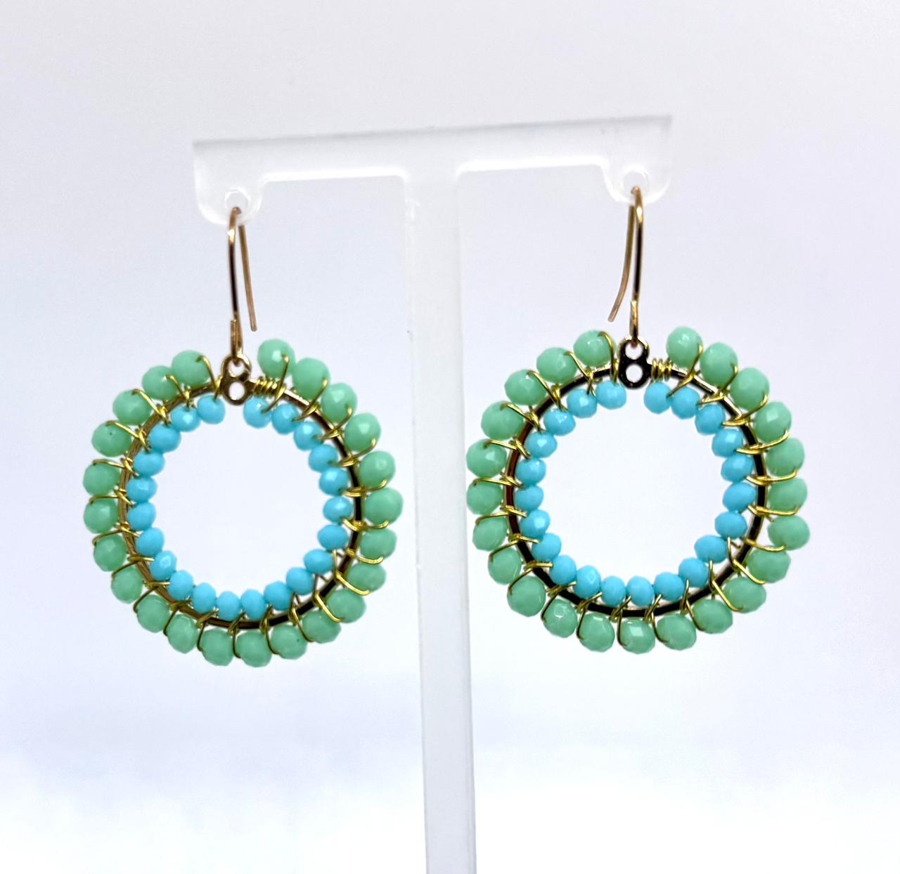 Crystal Circle Earrings